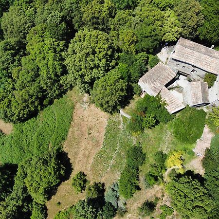 Bed and Breakfast Mas Des Nabieres Saint-Martial  Exterior foto