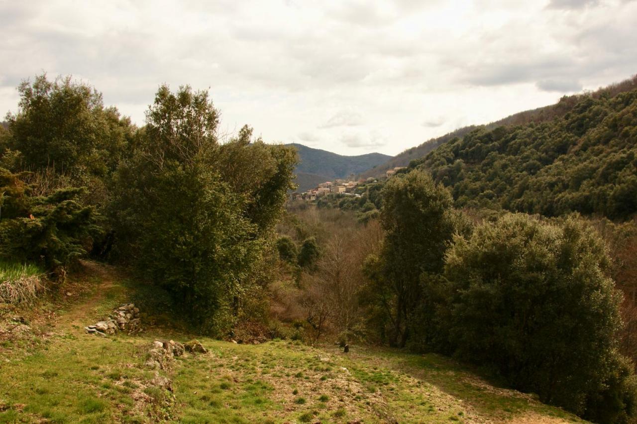 Bed and Breakfast Mas Des Nabieres Saint-Martial  Exterior foto